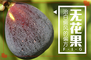 白顛瘋病初期照片癥狀,區(qū)別怎樣區(qū)別辨識(shí)(患上皮膚會(huì)有哪些特征)