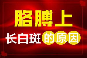 [應該如何治療]陰道白班怎么治