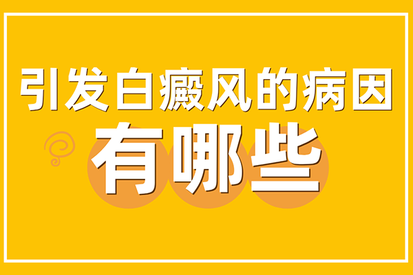 [健康要點]白癜風發(fā)病的原因有哪些-是什么引起了白癜風的發(fā)作